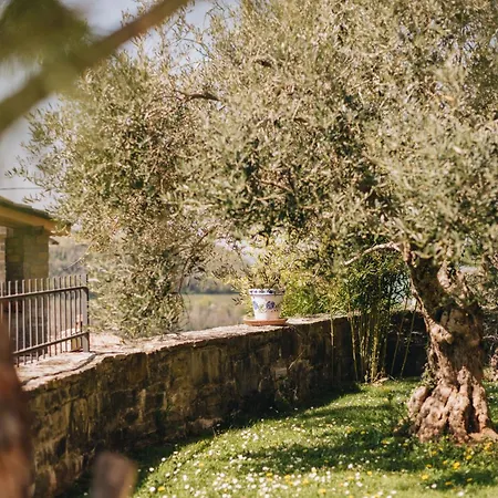 Villa Dreamhill Meloni